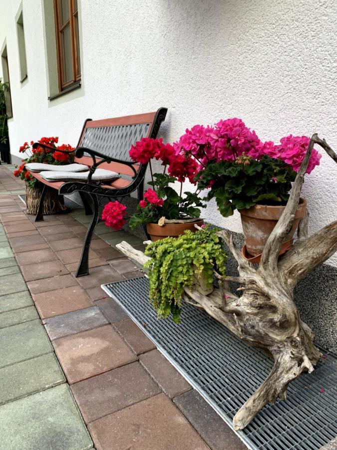 Appartement Vierthaler Werfenweng Exterior foto